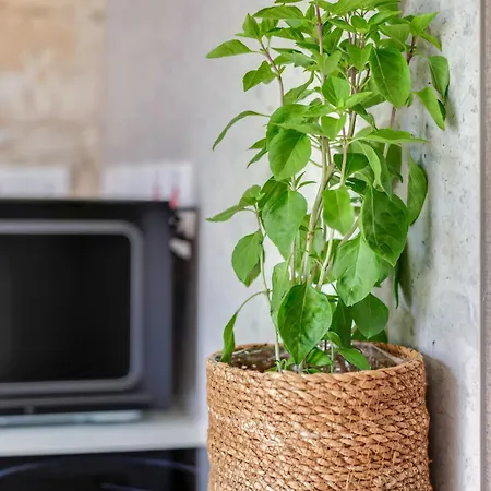 Апартаменты Andre Marie Stonewood Retreat