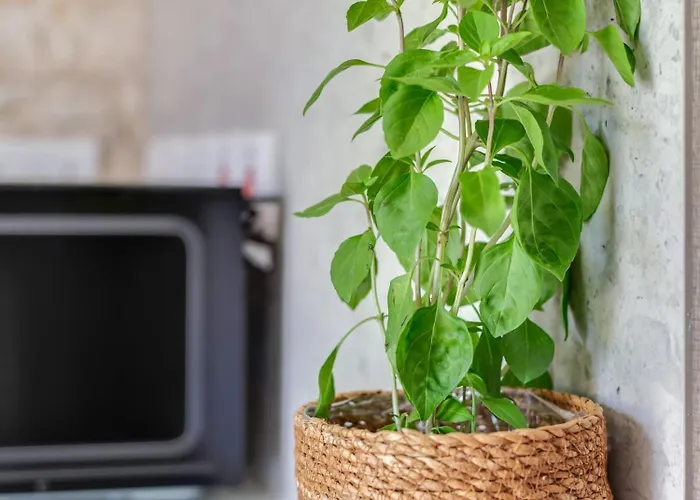 Διαμέρισμα Andre Marie Stonewood Retreat